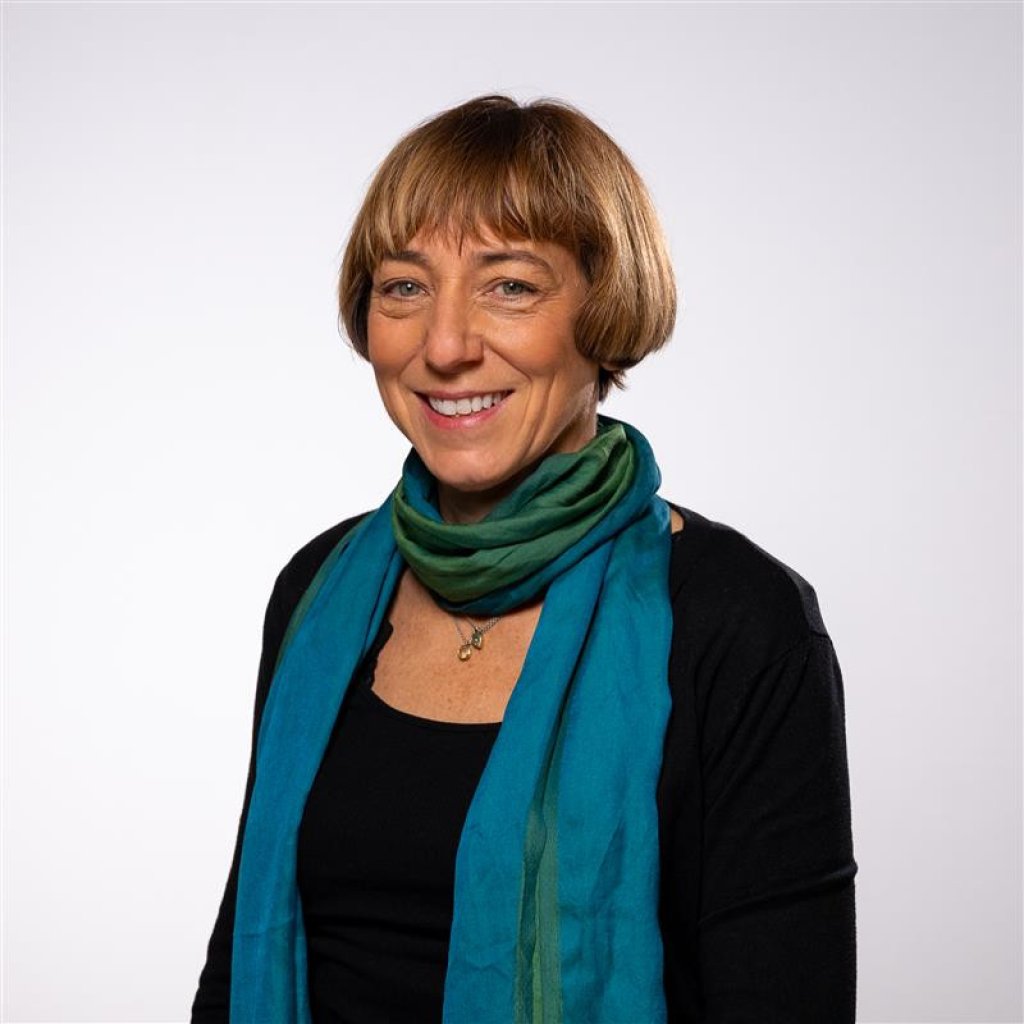 Professor Anna Gilmore, Director of Local Health and Global Profits.